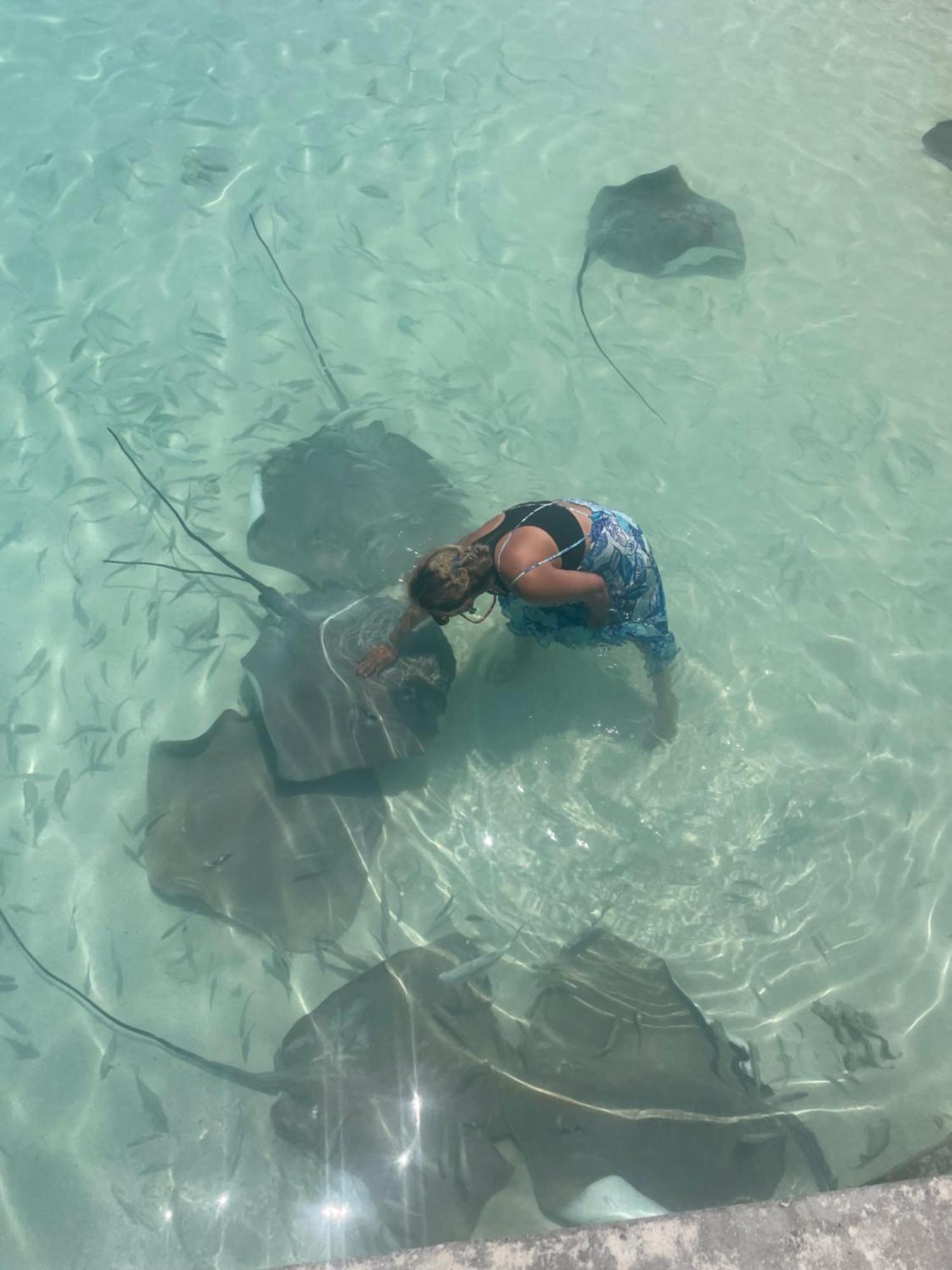 Island Scuba Inn ダンゲシ エクステリア 写真